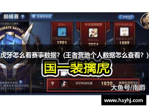 虎牙怎么看赛事数据？(王者营地个人数据怎么查看？)